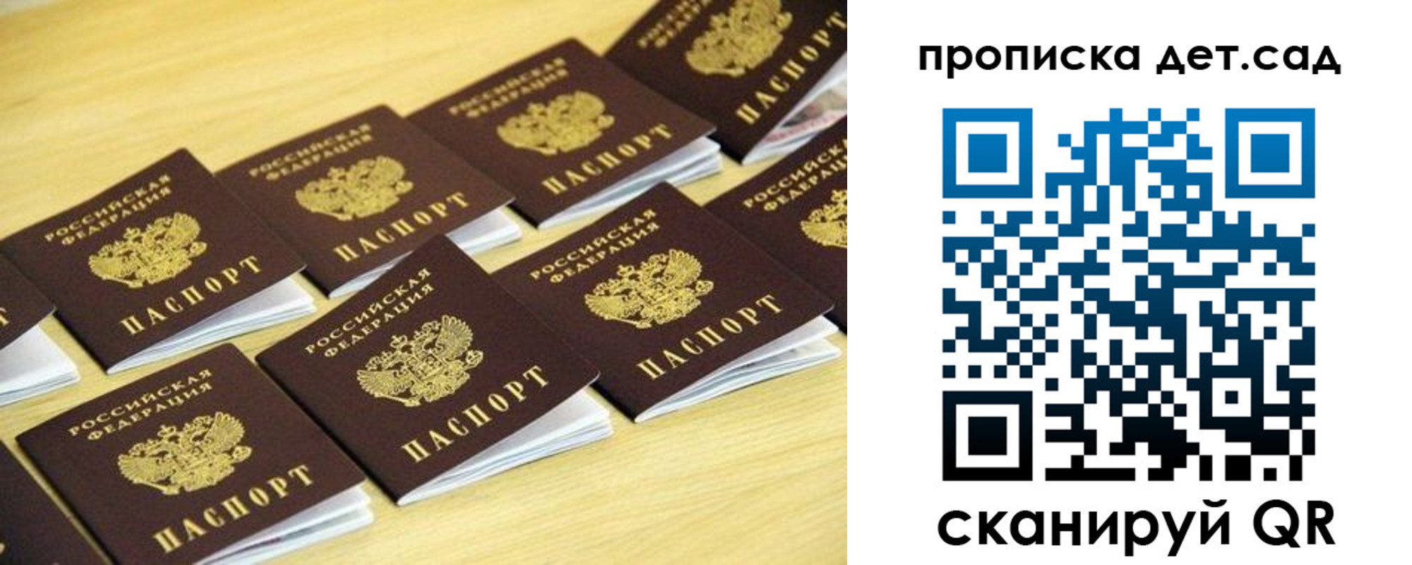 прописка гарантия в Саратове